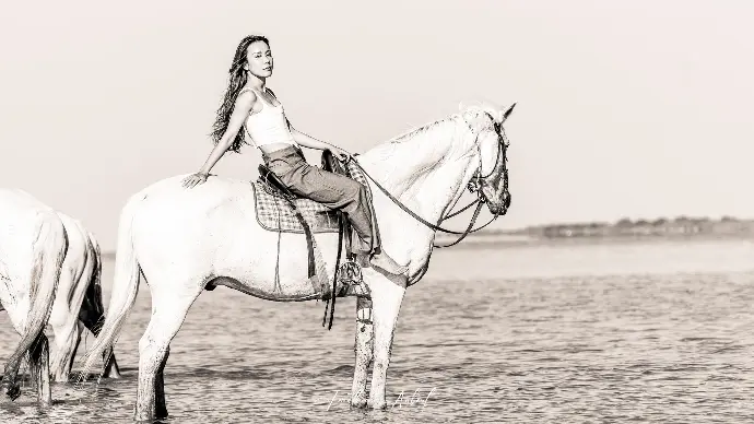 Cavalière posant sur un cheval camarguais dans l'eau, photographie en noir et blanc par Jonathan Aubert pour La Fadaise en Camargue.