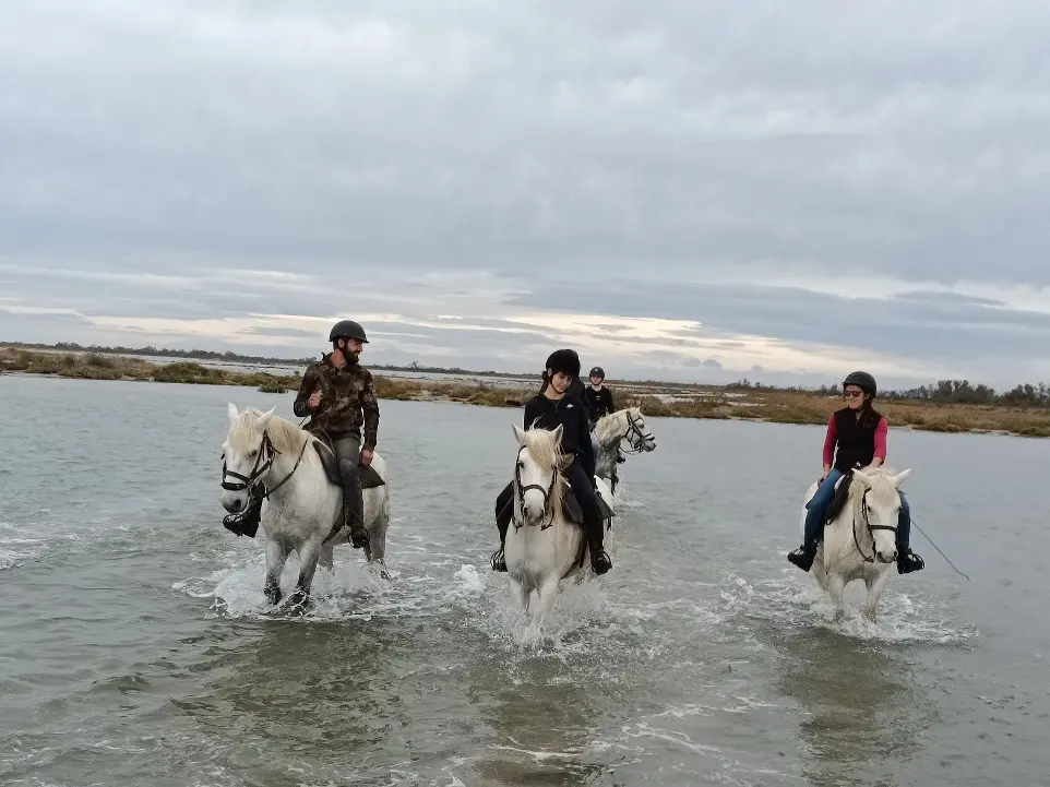 Balade à cheval dans l'eau en Camargue - Expérience avec La Fadaise, Saintes-Maries-de-la-Mer Groupe de cavaliers traversant un plan d'eau à cheval en Camargue avec La Fadaise, Saintes-Maries-de-la-Mer.