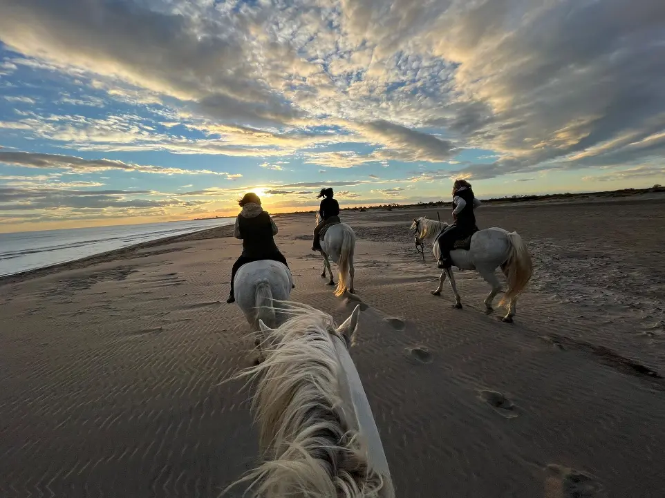 Balade à cheval au coucher du soleil sur la plage en Camargue - La Fadaise, Saintes-Maries-de-la-Mer Promenade à cheval sur la plage au coucher du soleil en Camargue avec La Fadaise, Saintes-Maries-de-la-Mer.