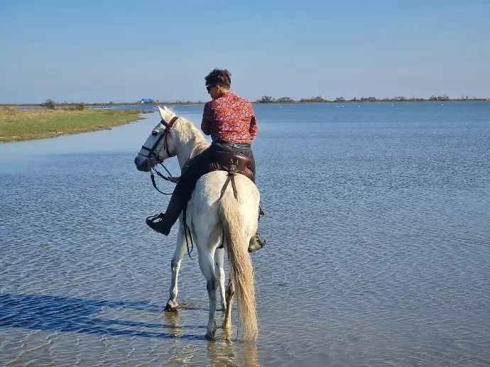 Balade équestre au bord de l’eau en Camargue - Promenade La Fadaise Cavalière sur un cheval blanc traversant les eaux peu profondes en Camargue, à La Fadaise, Saintes-Maries-de-la-Mer.